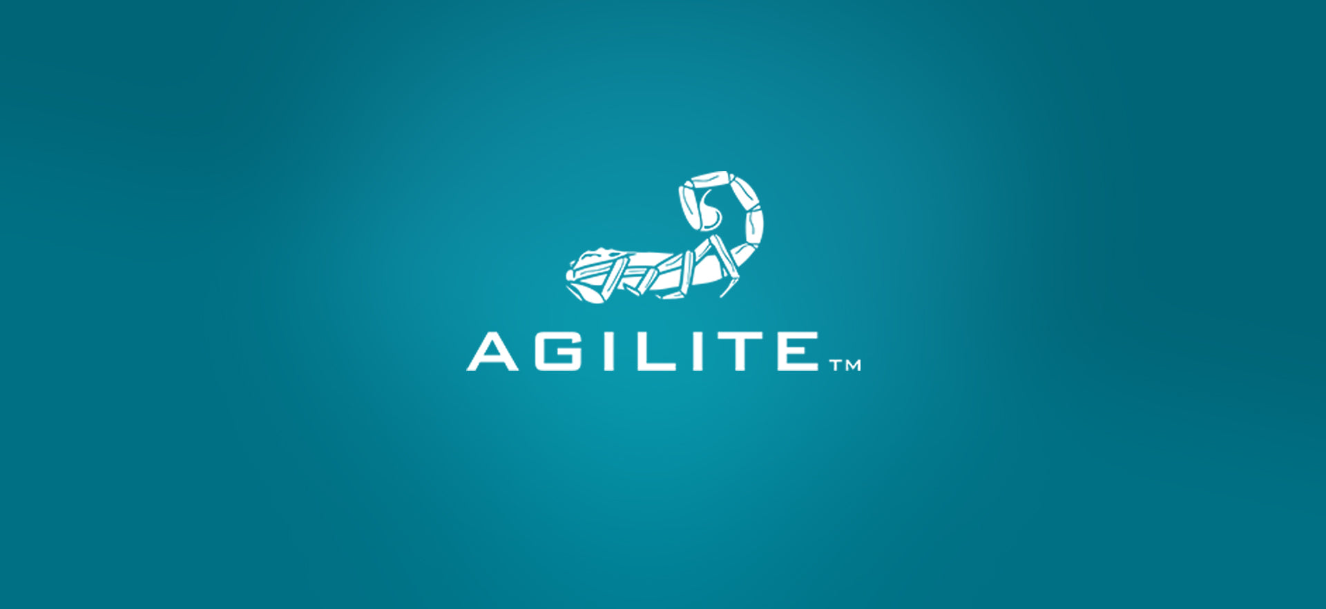 Agilite - Weekend-Warrior.Shop