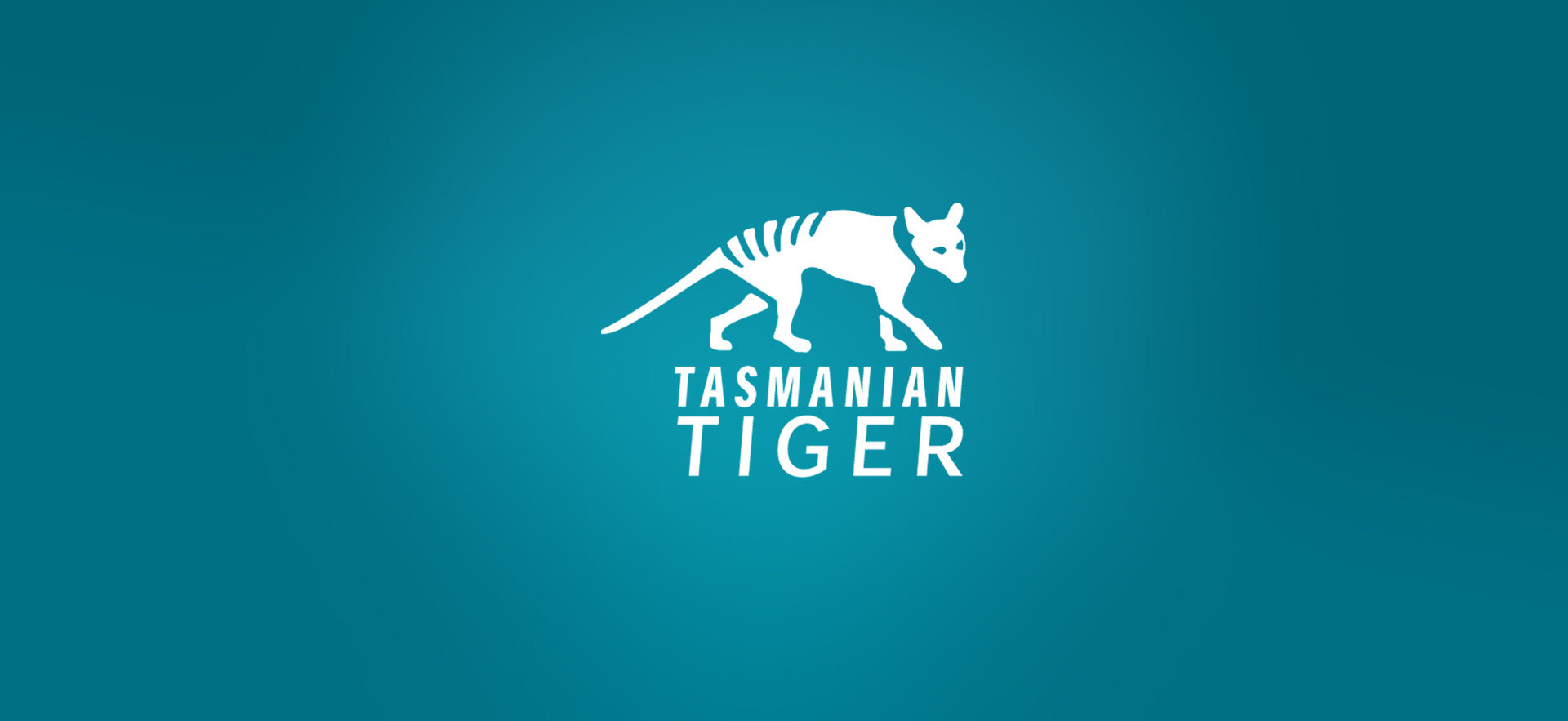 Tasmanian Tiger Multipurpose Pouch Set VL - Aufbewahrungstaschen online  kaufen
