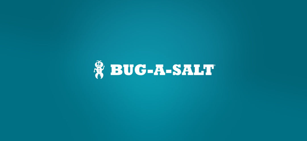 Bug-A-Salt - Weekend-Warrior.Shop